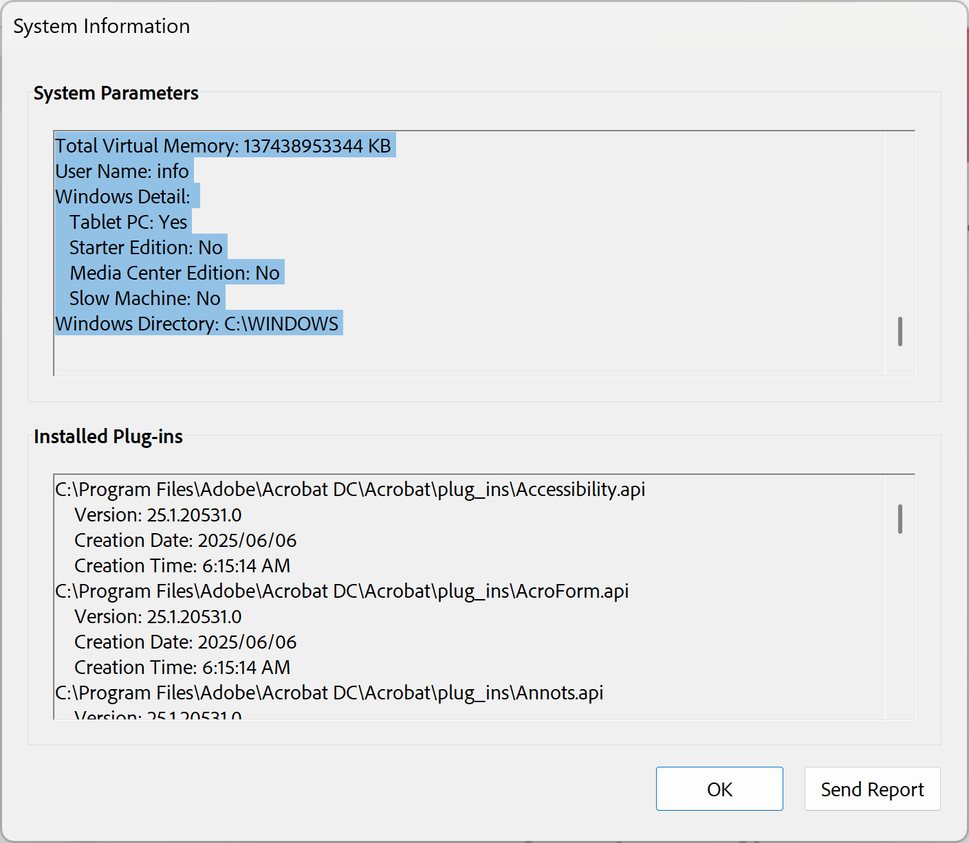 System report window