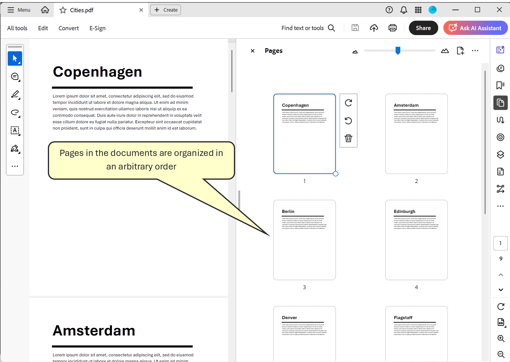 Input document overview