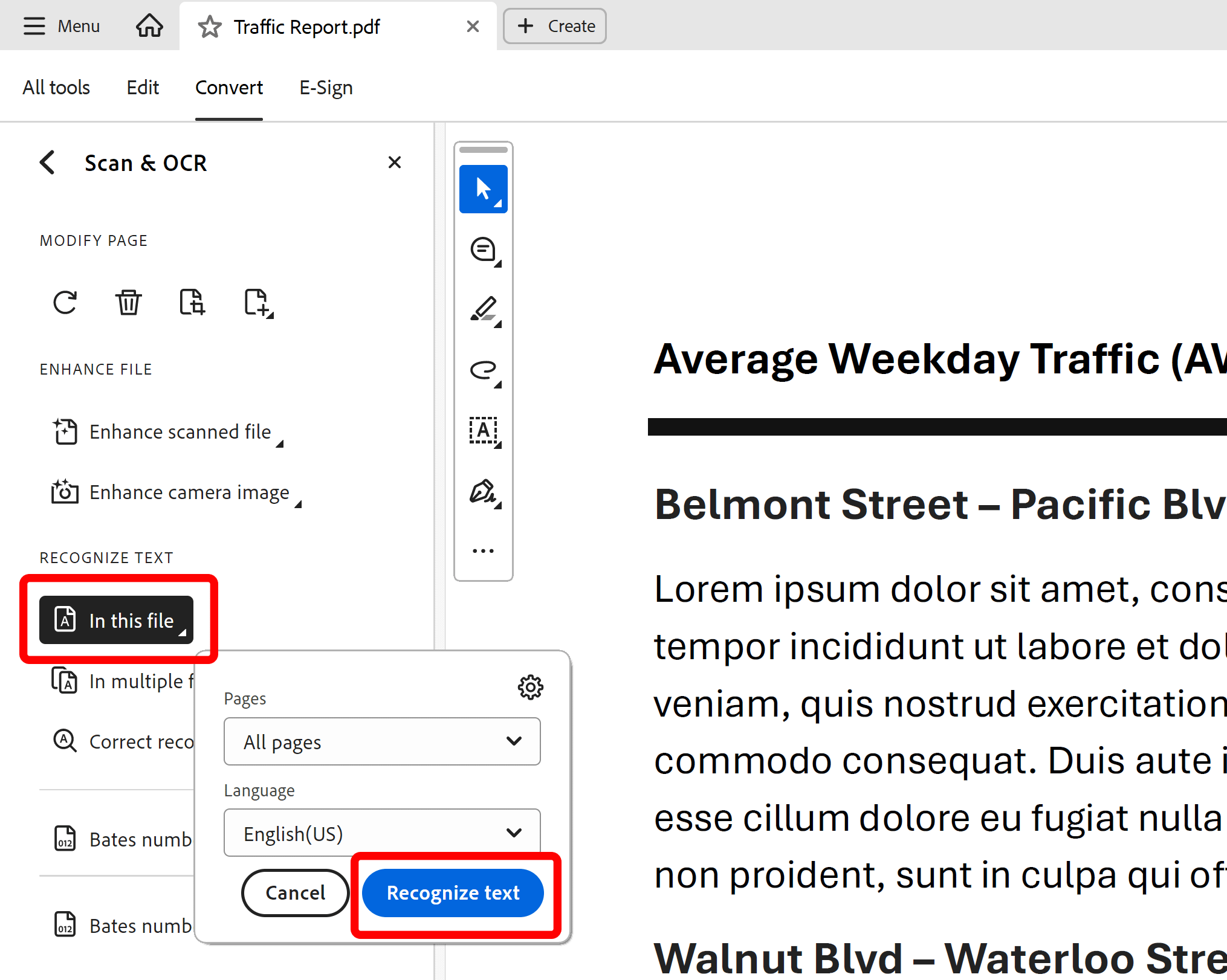 Press Recognize Text button to run processing