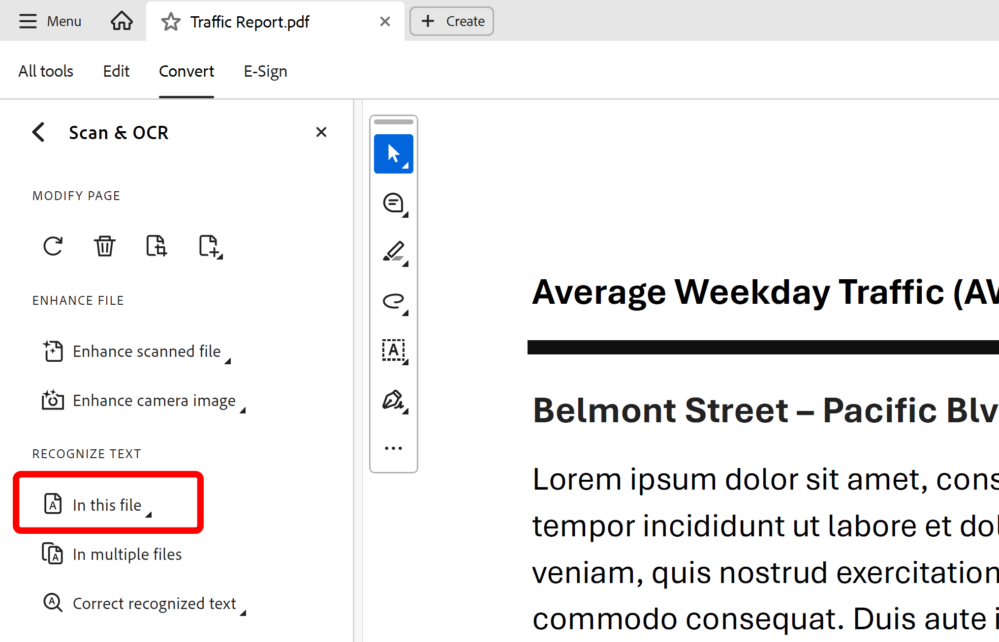 Select Recognize Text tool in this file